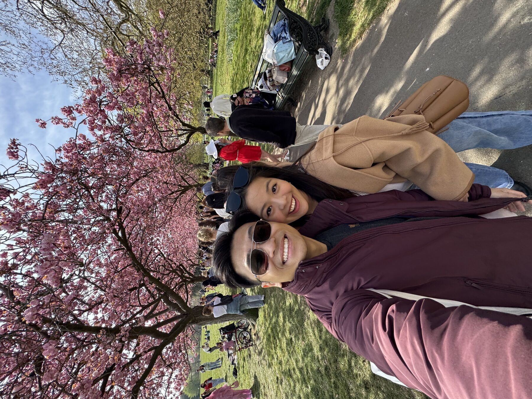 Under cherry blossoms